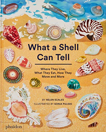 What A Shell Can Tell (Libri per bambini) von PHAIDON